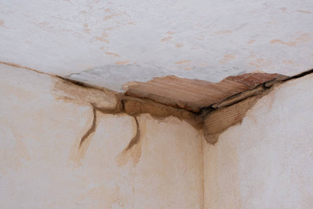 Best Professional water damage repair  in Laymantown, VA