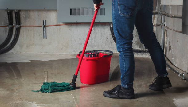 Best Basement water damage restoration  in Laymantown, VA