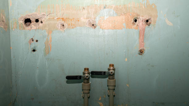 Best Flooded house restoration  in Laymantown, VA