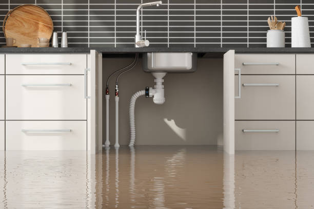 Best Sewage cleanup and water damage restoration  in Laymantown, VA