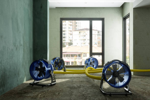 Best Water damage repair service  in Laymantown, VA