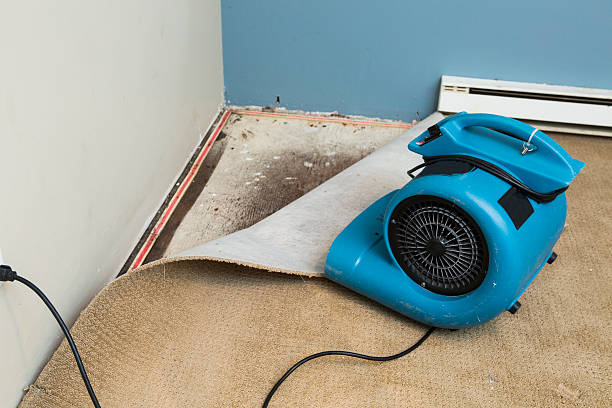 Best 24/7 water damage repair  in Laymantown, VA